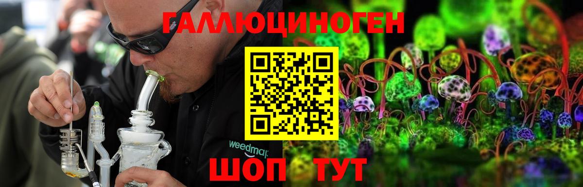 Галлюциногенные грибы Cubensis Шадринск